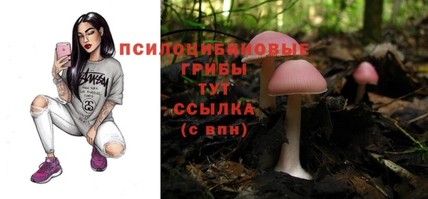 винт Богородск
