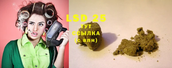 дживик Новозыбков