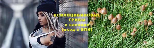 винт Богородск