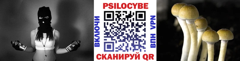 Псилоцибиновые грибы Psilocybe  Гуково 